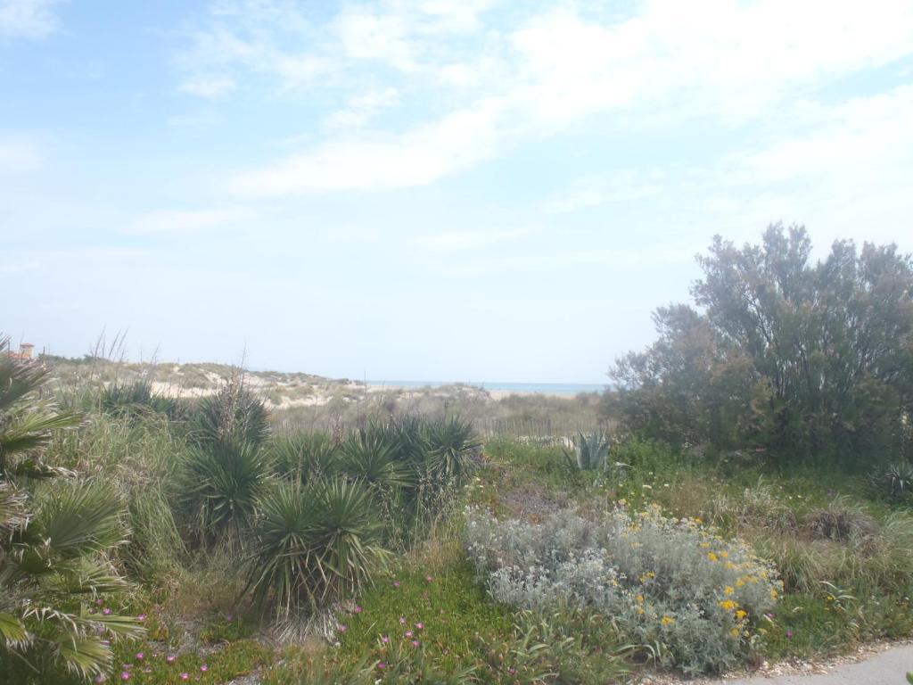 Hotel Les Dunes Marseillan  Zewnętrze zdjęcie